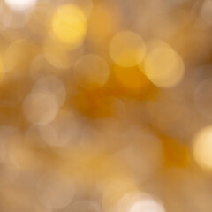 Obraz premium Background image of colored light spots