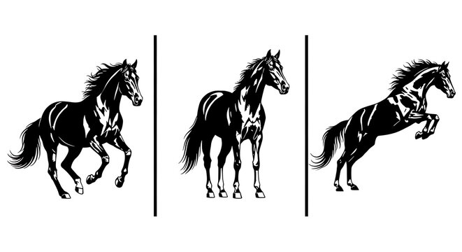 Majestic Equine Trio: Capturing the grace and power of horses in dynamic poses, with silhouettes that tell a story of energy and movement.