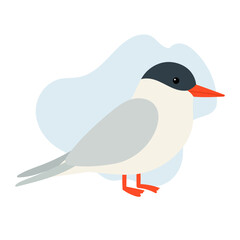 Arctic tern stands light on shore, tern represents freedom, migration, and endurance, tern travels between poles each year, connecting arctic and antarctic worlds in elegant flight.