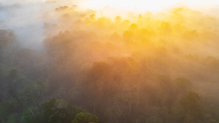 Fototapeta premium Aerial images of the Amazon rainforest of Madre de Dios, clouds over the trees in Tambopata, Peru