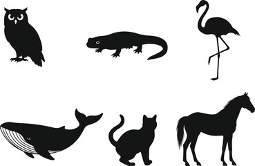 Animal silhouette set, owl, salamander, flamingo, whale, cat, horse icons, black vector shapes, nature symbols, wildlife graphic design
