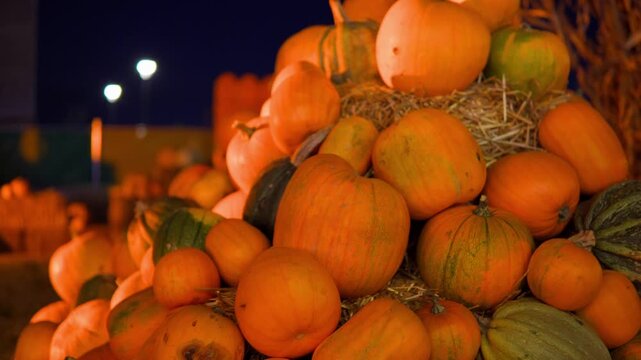 Halloween pumpkin patch display at night