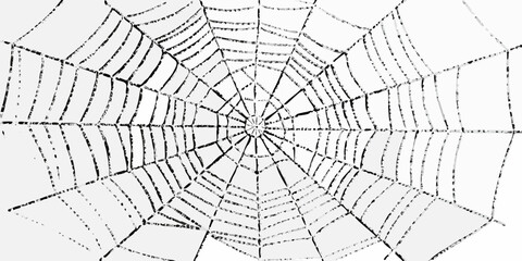 Intricate black and white spiderweb pattern on a white background