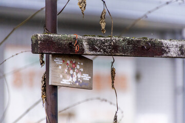 A shrine that evokes Japanese nostalgia - 19