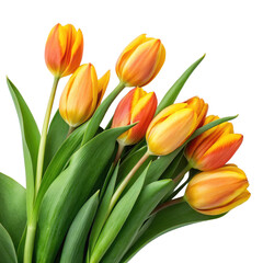 Yellow orange tulips leaves png blooming flowers png spring tulips png floral bouquet png seasonal flowers png decorative plants png transparent background image