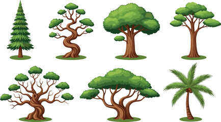 Tree illustration set, evergreen, palm tree, twisted trunk, wide canopy, foliage types, landscape design, nature graphic, botanical art, greenery