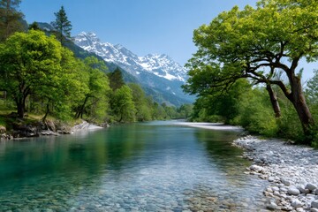 Fototapeta premium Alpine river flowing through a lush green valley