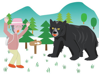 危険な野生の熊
