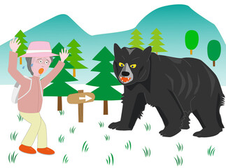 危険な野生の熊
