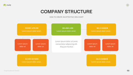 Company Structure