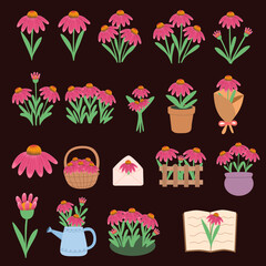Charming Pink Coneflower Botanical Illustrations Collection