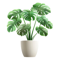 Lush Green Monstera Plant in White Pot Against Black Background
