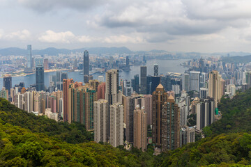 Fototapeta premium Hong kong skyline rising above lush green forest on victoria peak