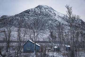Entorno de otoño invierno nevado en las islas lofoten
