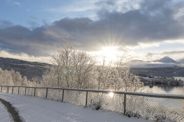 Fototapety na wymiar - Fototapeta24.pl
