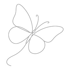 butterfly on a white background