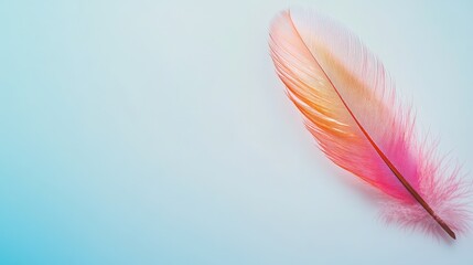 Naklejka premium Colorful feather rests on a soft blue background showcasing delicate details and vibrant hues in natural light during daytime