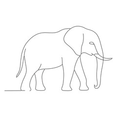 elephant vector illustration