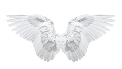Obraz premium Open white wings, feather detail, perfect symmetry, pure white background