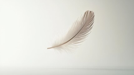 Obraz premium Delicate feather floating in the air, capturing soft light and showcasing its fine details