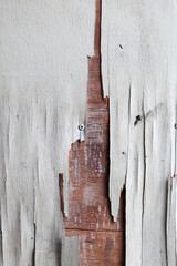 A close-up of a severely damaged and peeling plywood surface, revealing layers of brown and reddish wood underneath, creating a rough, abstract, and distressed texture background.