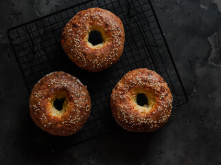 Quick homemade cottage cheese bagels on a dark background, top view