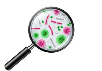 Magnifying glass viewing colorful bacteria and microorganisms isolated on transparent background