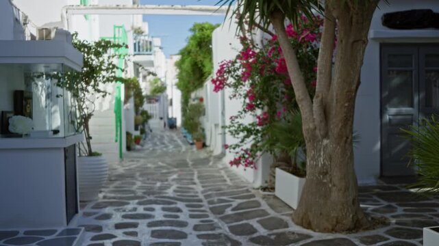 Mykonos narrow flagstone street with shallow defocused bokeh and soft focus; background backplate copyspace calm.