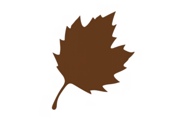 Brown autumn fall leaf silhouette transparent background for seasonal designs and overlay elements