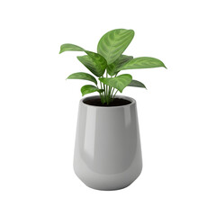 Modern gray ceramic pot with a vibrant green leafy houseplant on a plain backdrop