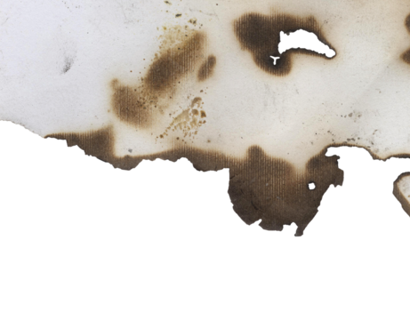 A single piece of old, aged paper with burnt and scorched edges isolated on a transparent background png