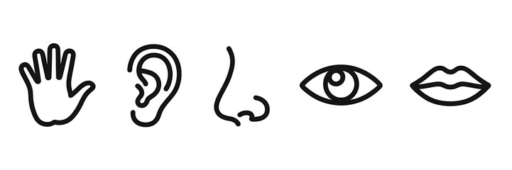 Obraz premium Illustration of the five senses hand, ear, nose, eye, and lips, isolated on white background