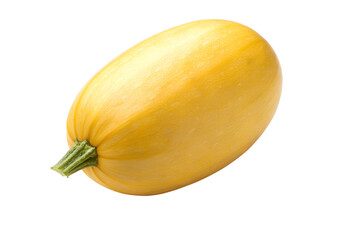 Fresh whole yellow spaghetti squash with a green stem, a raw organic winter vegetable ingredient isolated on a clean white background, ready for healthy cooking and eating
