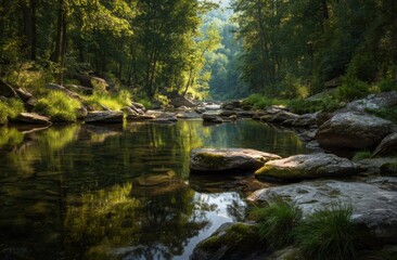 Naklejka premium A serene river flows through a lush forest, reflecting the surrounding trees and rocks in its clear water.