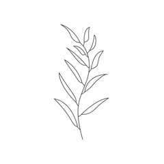 beautiful leaf plant icon