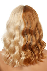 Naklejka premium Split hair color, half blonde and half brown, isolated on white background