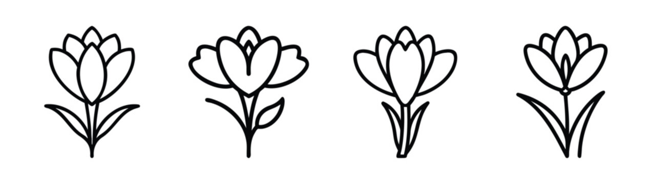Four delicate hand drawn crocus flower icons simple botanical line art designs