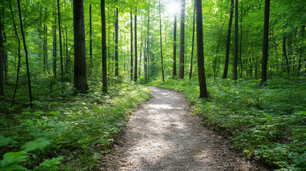 Fototapeta premium Serene path winding through lush green forest, surrounded by tall trees and vibrant foliage