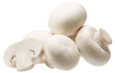 Group of white button mushrooms isolated