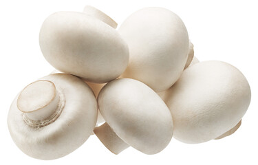 Heap of white champignon mushrooms isolated