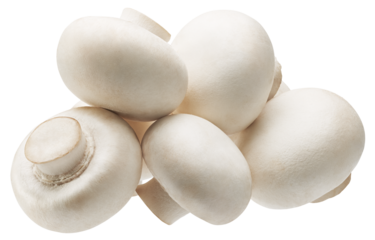 Heap of white champignon mushrooms isolated