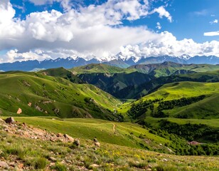 Fototapeta premium Rolling green hills meet snowy mountain peaks under a bright, cloudy sky