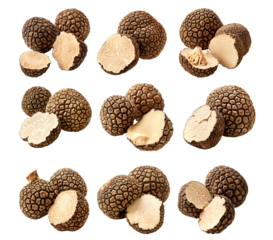 Set of summer truffles Burgundy isolated on white transparent background, great for culinary and gourmet themes