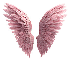 Obraz premium Soft Glow Pair of Pink Wings