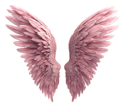 Soft Glow Pair of Pink Wings
