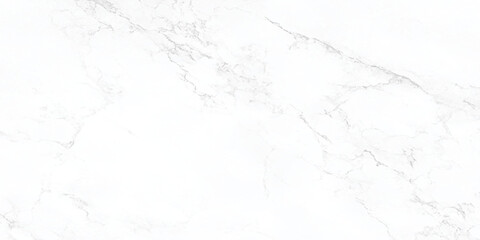 abstract polished and smooth curved black lines are surrounding randomly on white background as Marble granite white background wall surface.