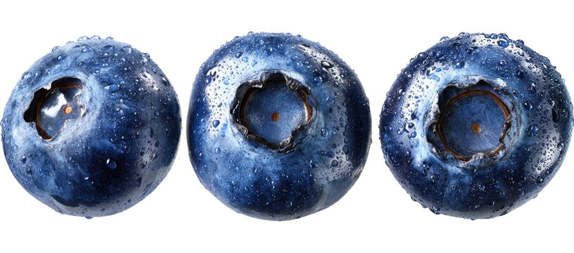 Three fresh, wet blueberries in a row on a black background