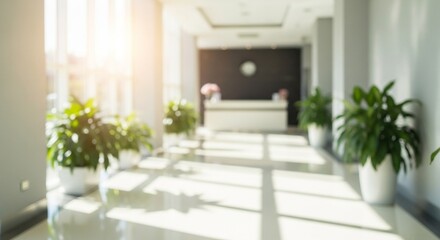 Blurred Interior Design of Hallway with Green Plant and Reception Desk