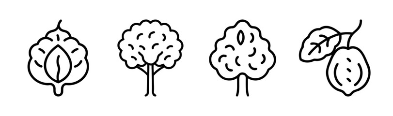 Collection of simple outline trees and walnut fruit icons for nature and botany designs