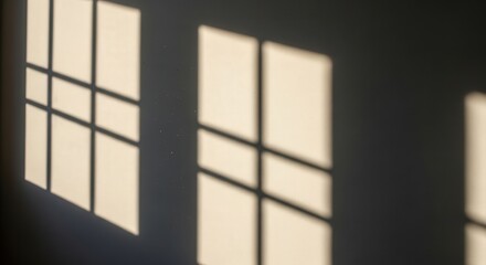 Sunlight falling on a plain wall creating soft window shadows